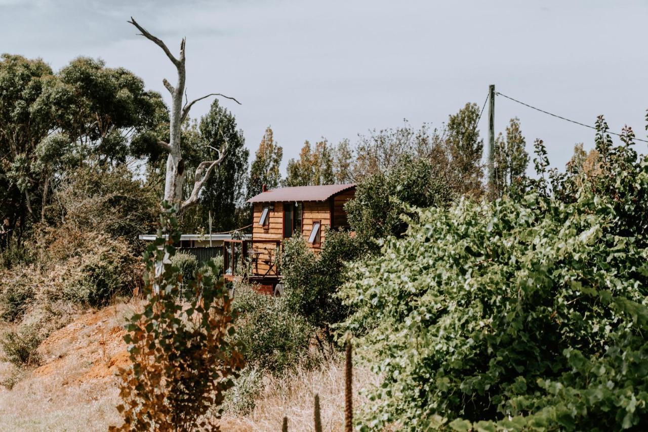 Belmont Homestead Суонси Екстериор снимка